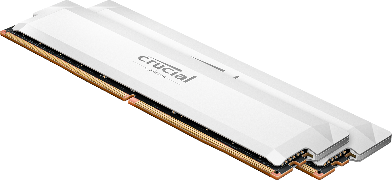 White Crucial Pro DDR5 desktop memory kit with two modules