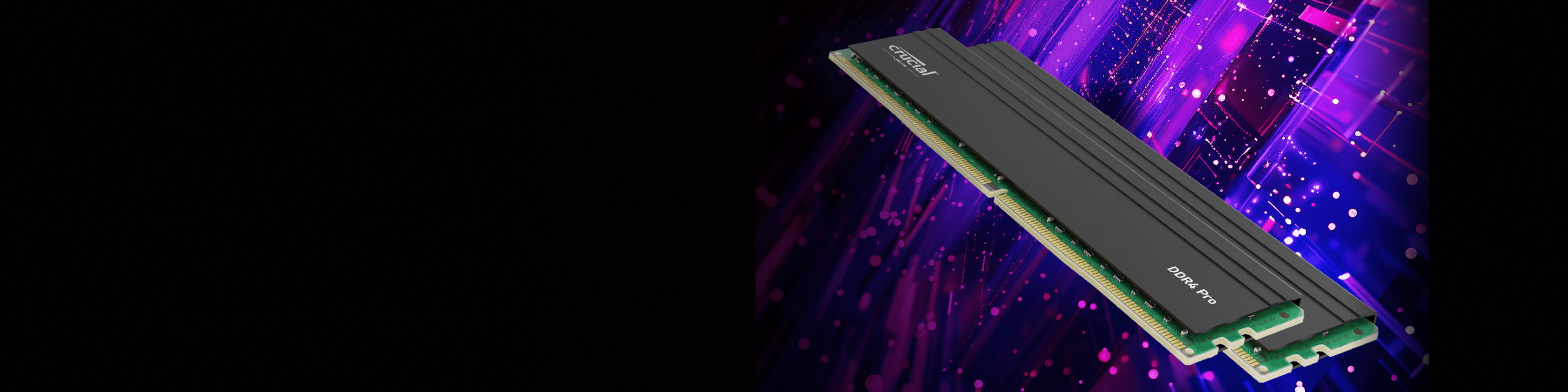 Two Crucial Pro DDR4 desktop memory modules with black heat spreaders