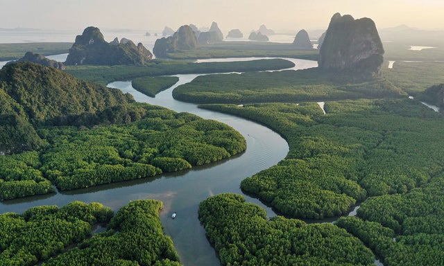 Aerial view of waterway winding through lush green terrain