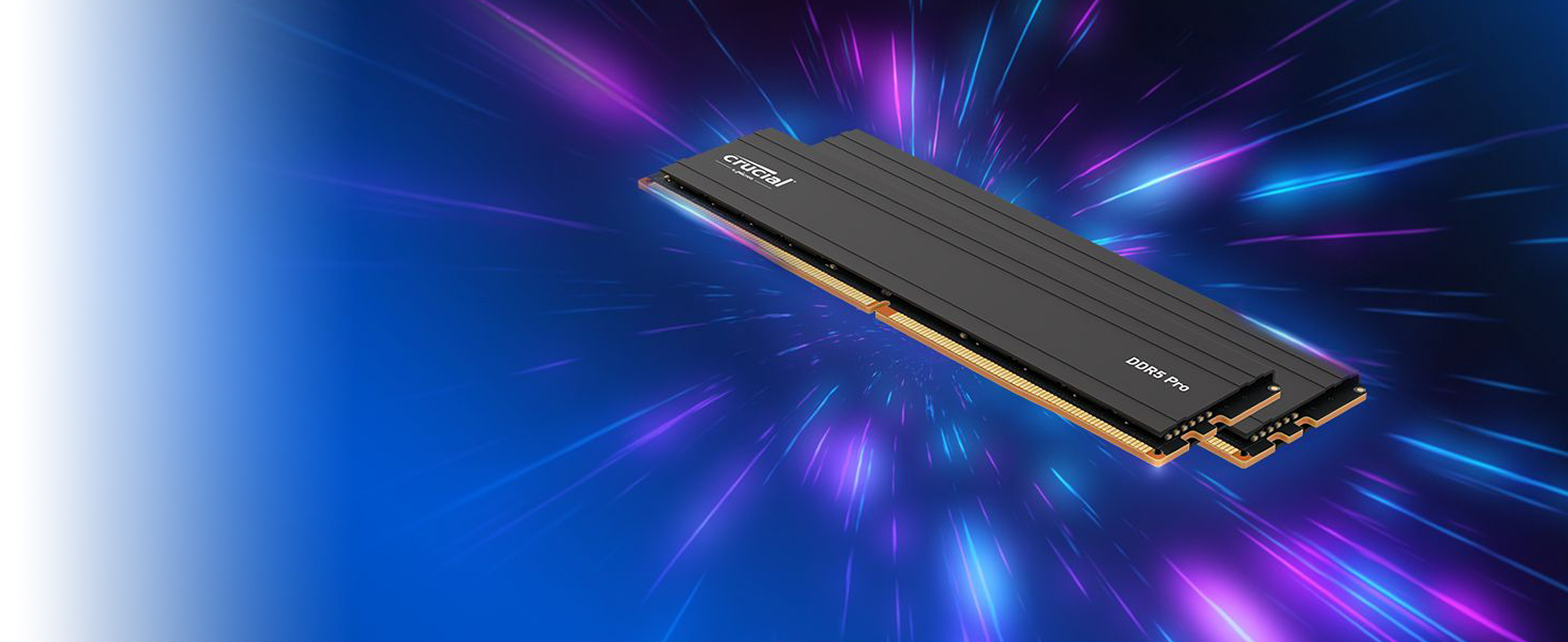 Crucial Pro 48GB Kit (24GBx2) DDR5-6000 UDIMM | CP2K24G60C48U5