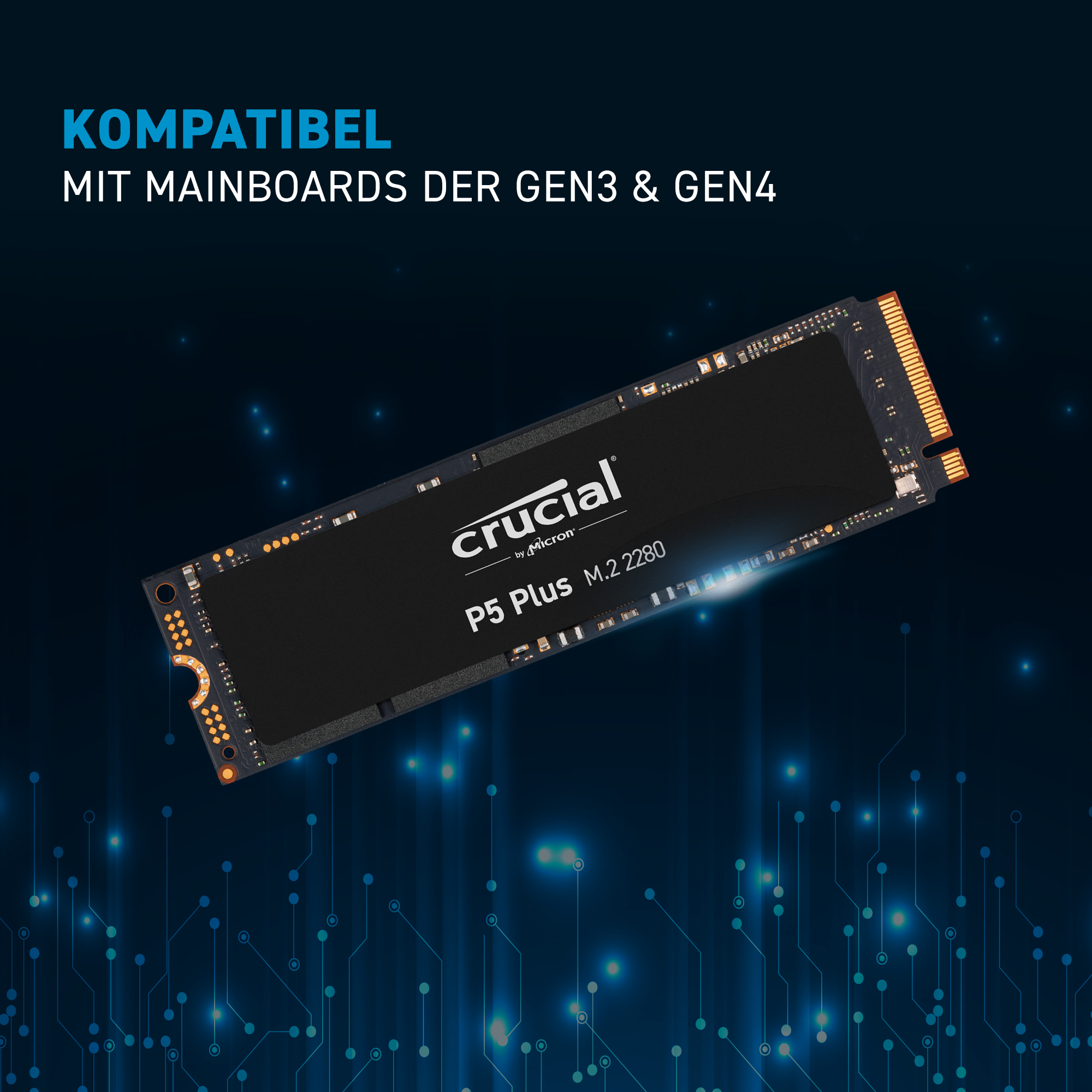Crucial P5 Plus 1 TB PCIe M.2 2280SS SSD | CT1000P5PSSD8