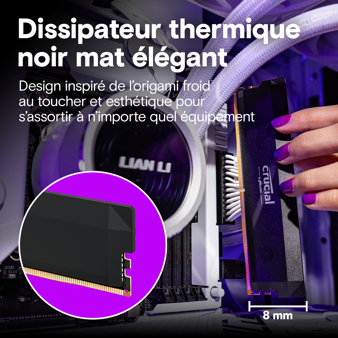 Crucial Pro DDR5-6000 32GB Kit (16GBx2) UDIMM: OC Gaming Memory