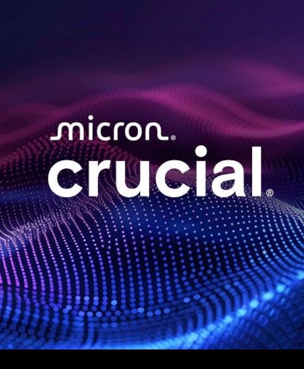Logotipo de Micron Crucial flotando sobre una ola de rosas y morados