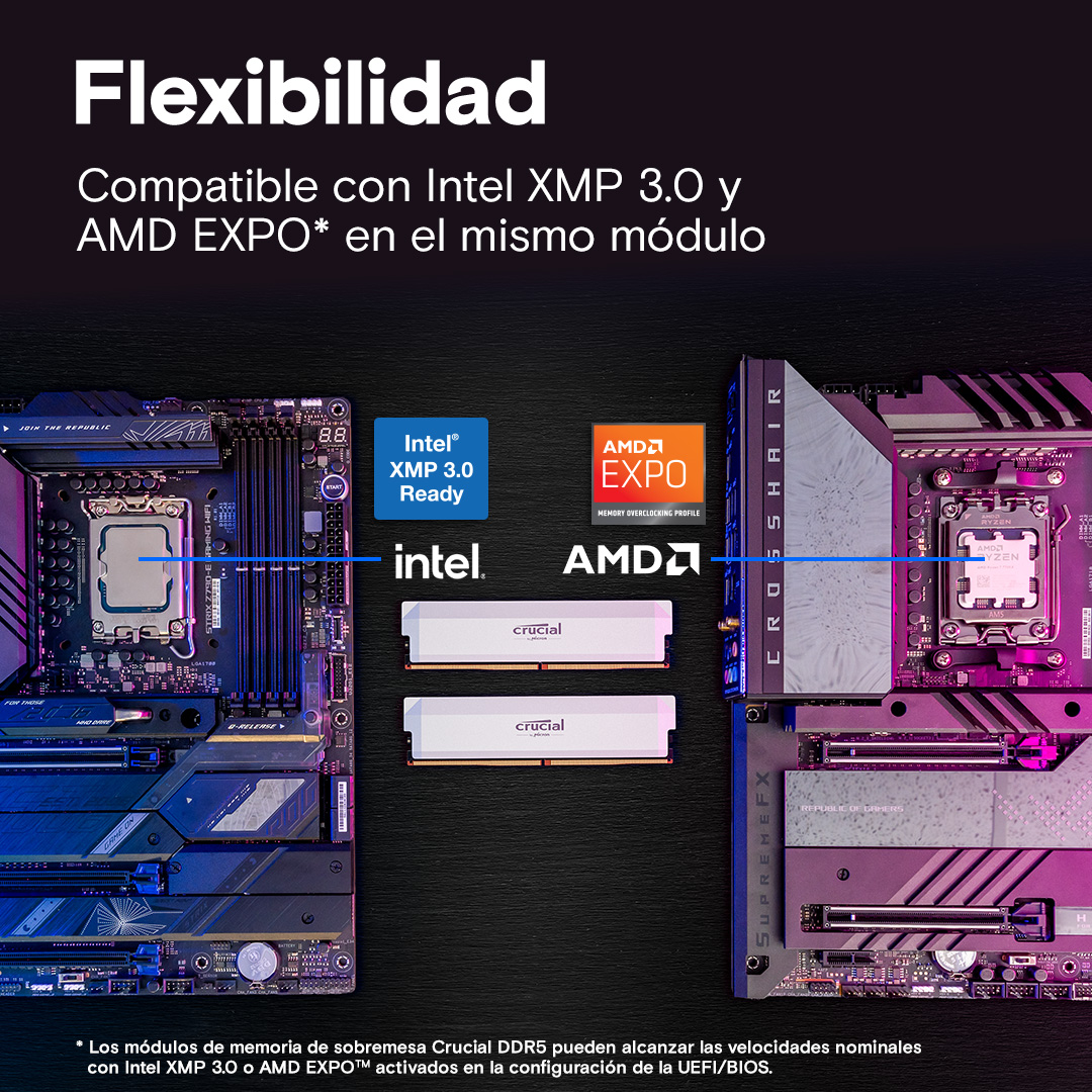 Crucial Pro DDR5-6400 CL38 32GB Kit (16GBx2) UDIMM: OC Gaming