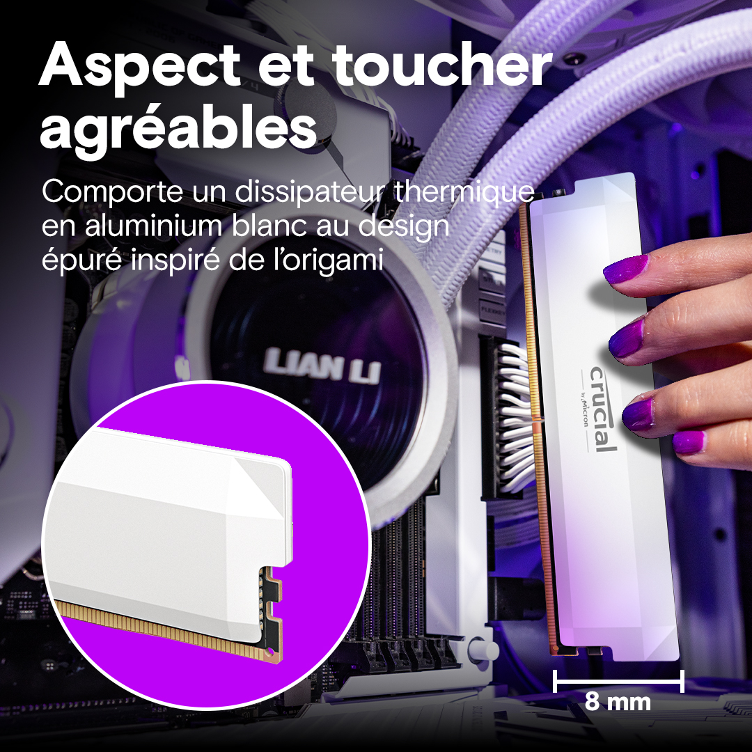 Crucial Pro DDR5-6400 16GB 2枚 計32GB ホワイト Kit Crucial Pro DDR5-6400 32 Go (2 x 16 Go) UDIMM : Mémoire gamer