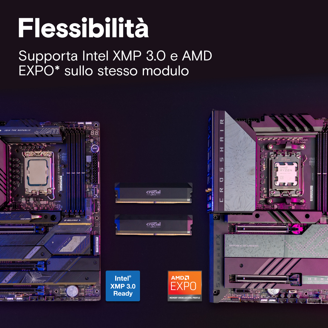 Crucial DDR5 Pro メモリー 2枚セット 32GB Crucial Pro RAM DDR5 32GB Kit (2x16GB) 6000MHz CL36