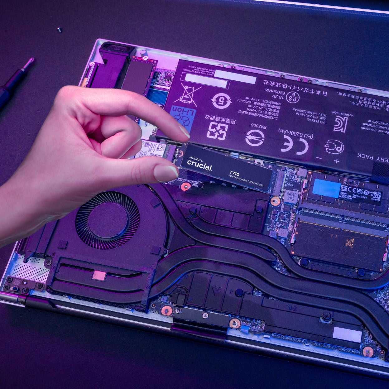 ミルキー クルーシャル Chocolate Ginger SnapALLERGEN FREE16.9 oz – Sillycow Farms