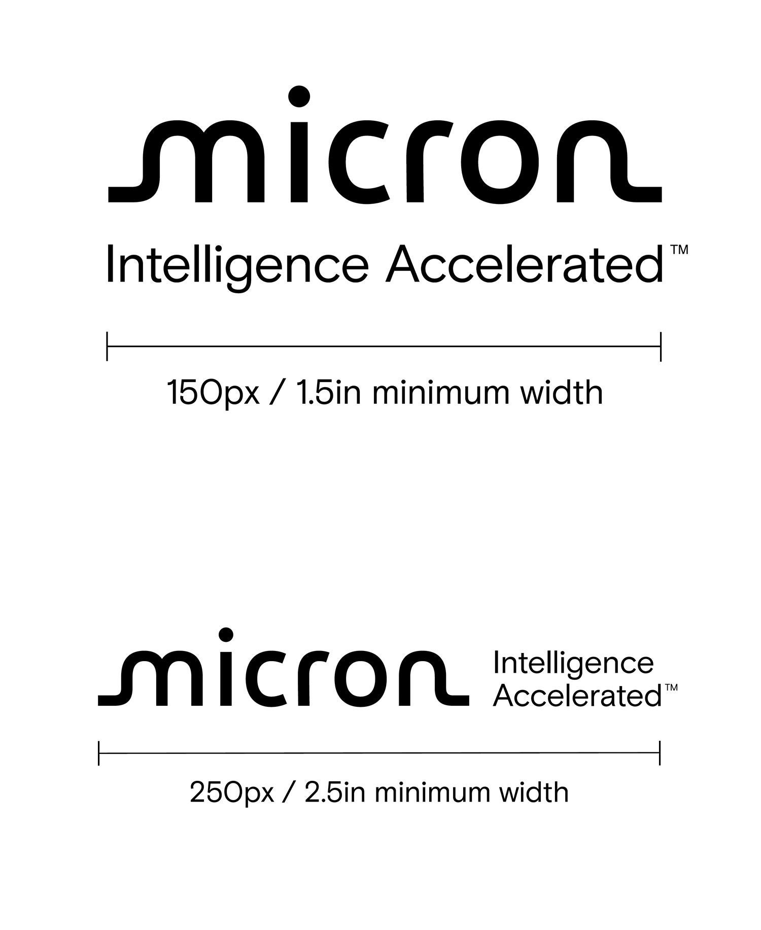 Micron Logo Tagline