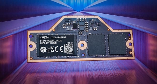 크리컬 LPCAMM2 클래식 웹 프리미엄