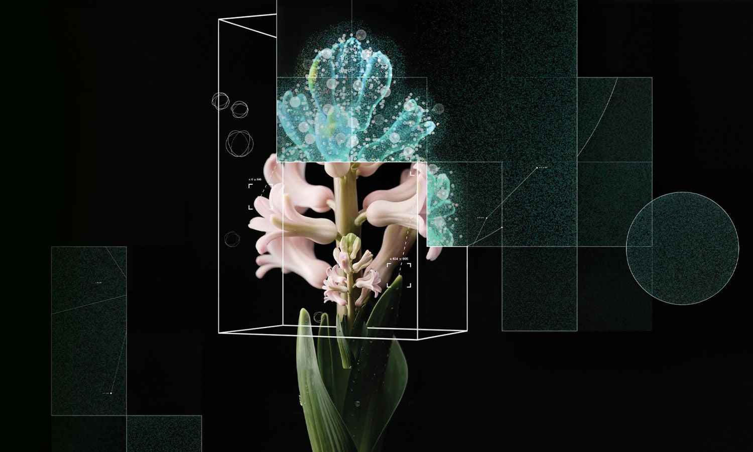 Blooming flower with data layer