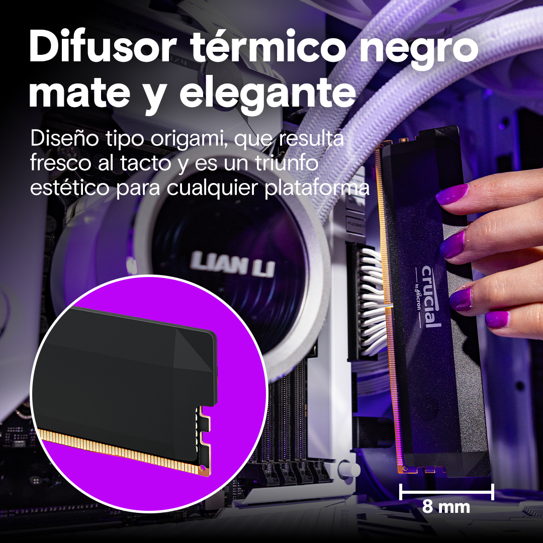 Crucial Pro DDR5-6400 32GB Kit (16GBx2) UDIMM: OC Gaming Memory