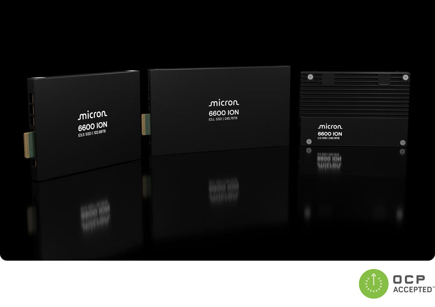 Micron 6600 ION SSD product family