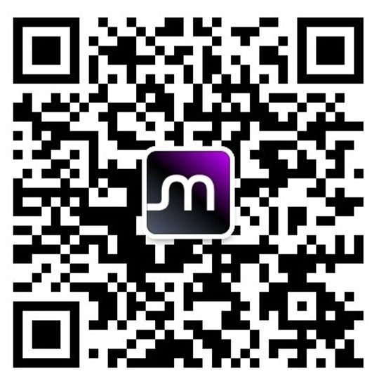 China Micron