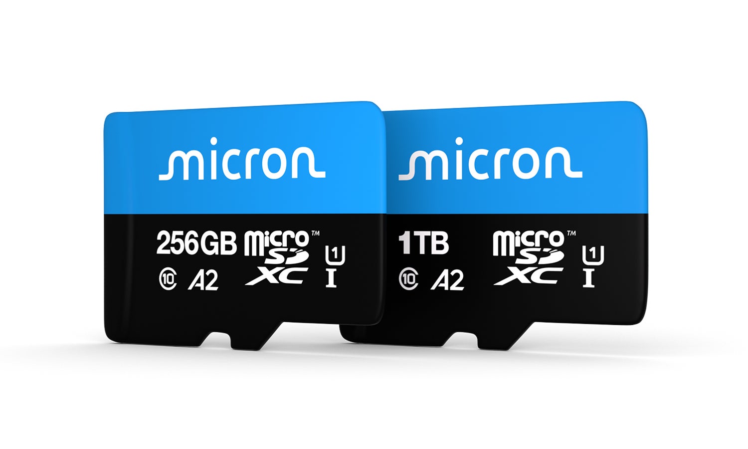 256GB microSD card