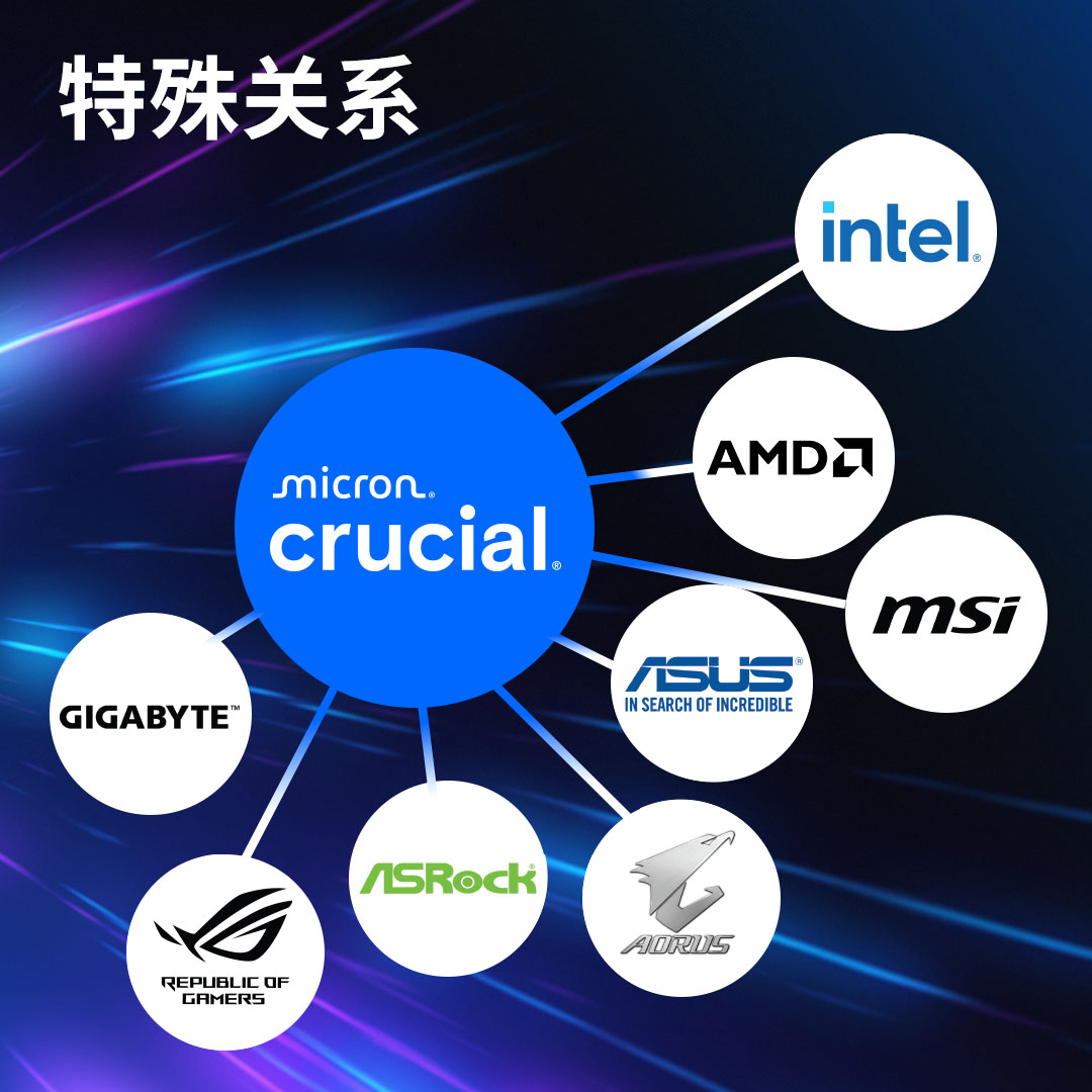 Crucial Pro 64GB Kit (32GBx2) DDR5-5600 UDIMM- view 3