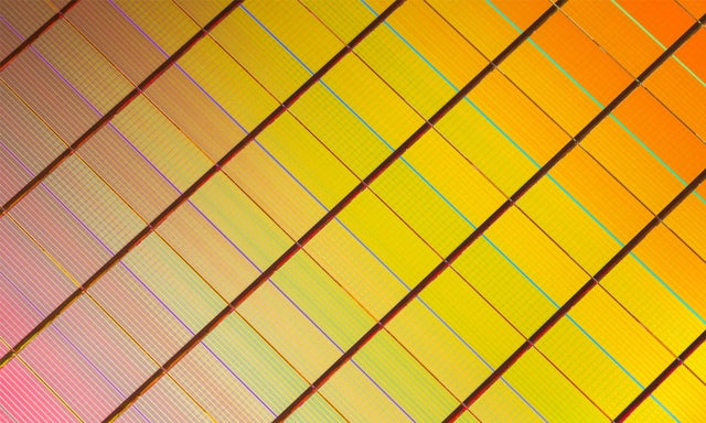 Cells on silicone wafer