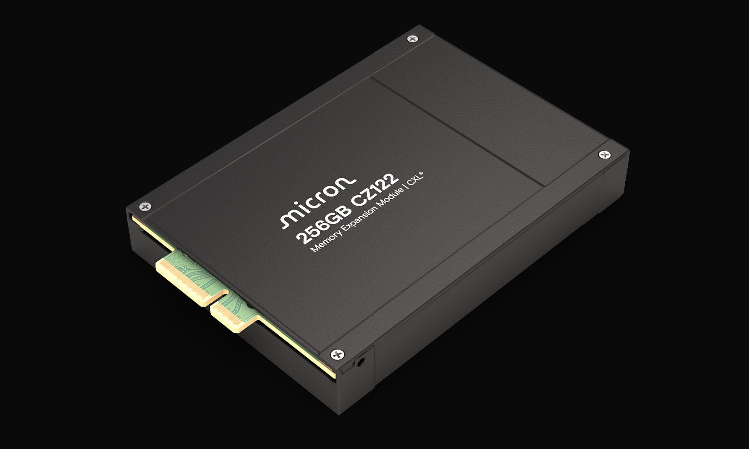 Micron 256GB CZ122
