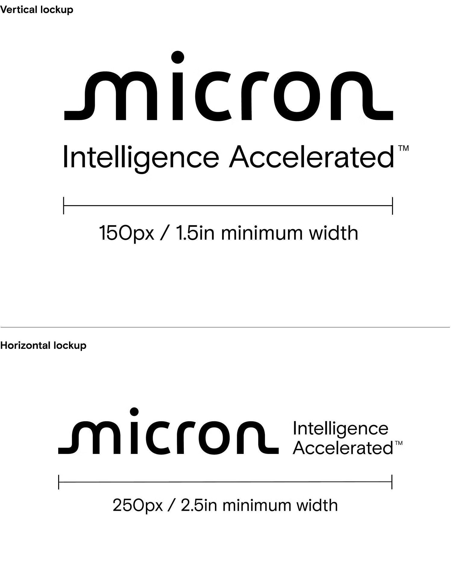 Micron Logo Tagline