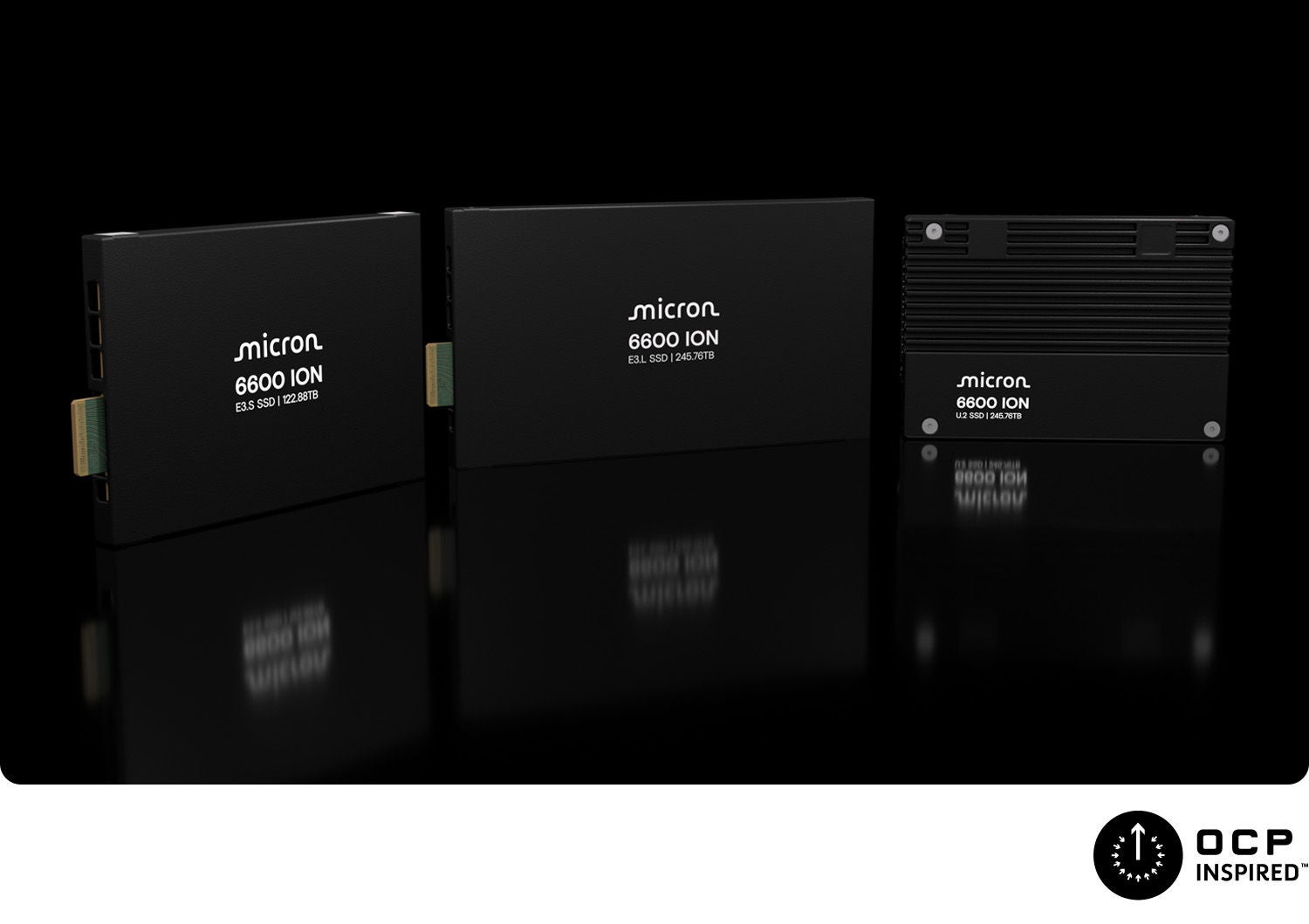 Micron 6600 ION SSD product family