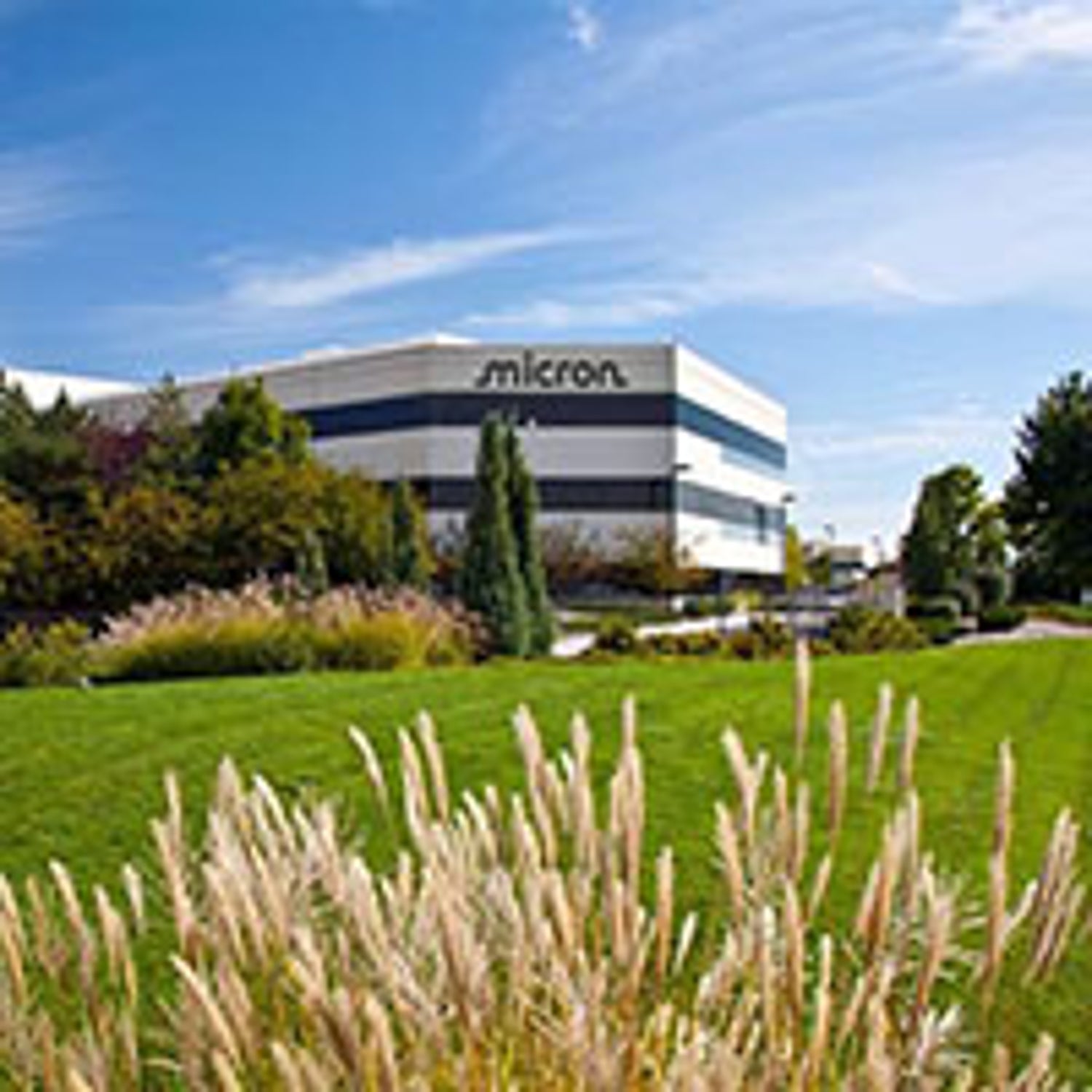 Boise location building with a grassy area in front of it.