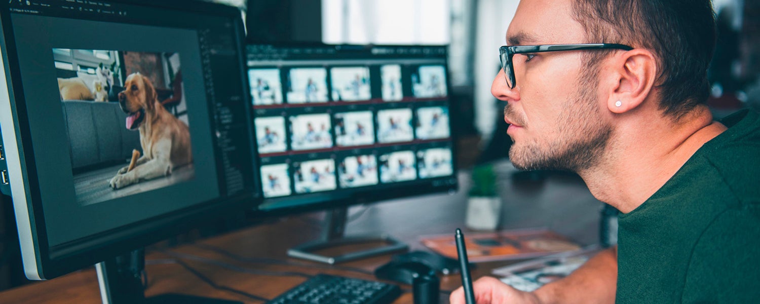 Crucial Pro DRAM and SSD