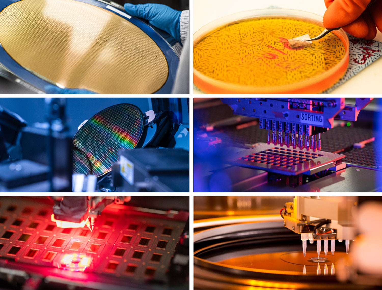 Products: Manufacturing