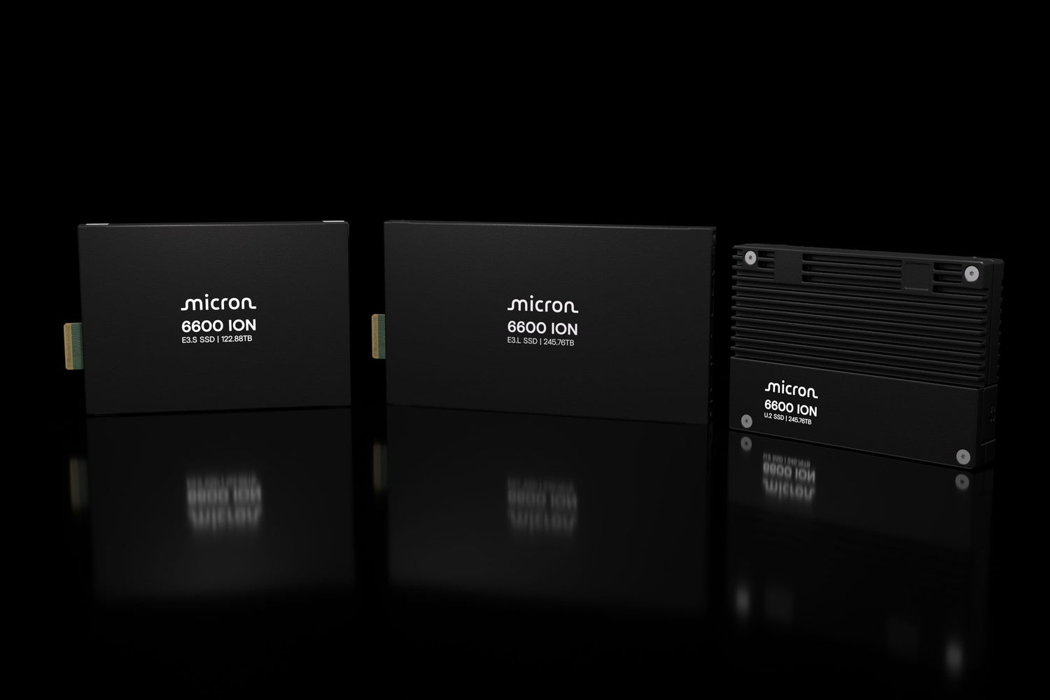 Micron 6600 ION NVMe™ SSD product family