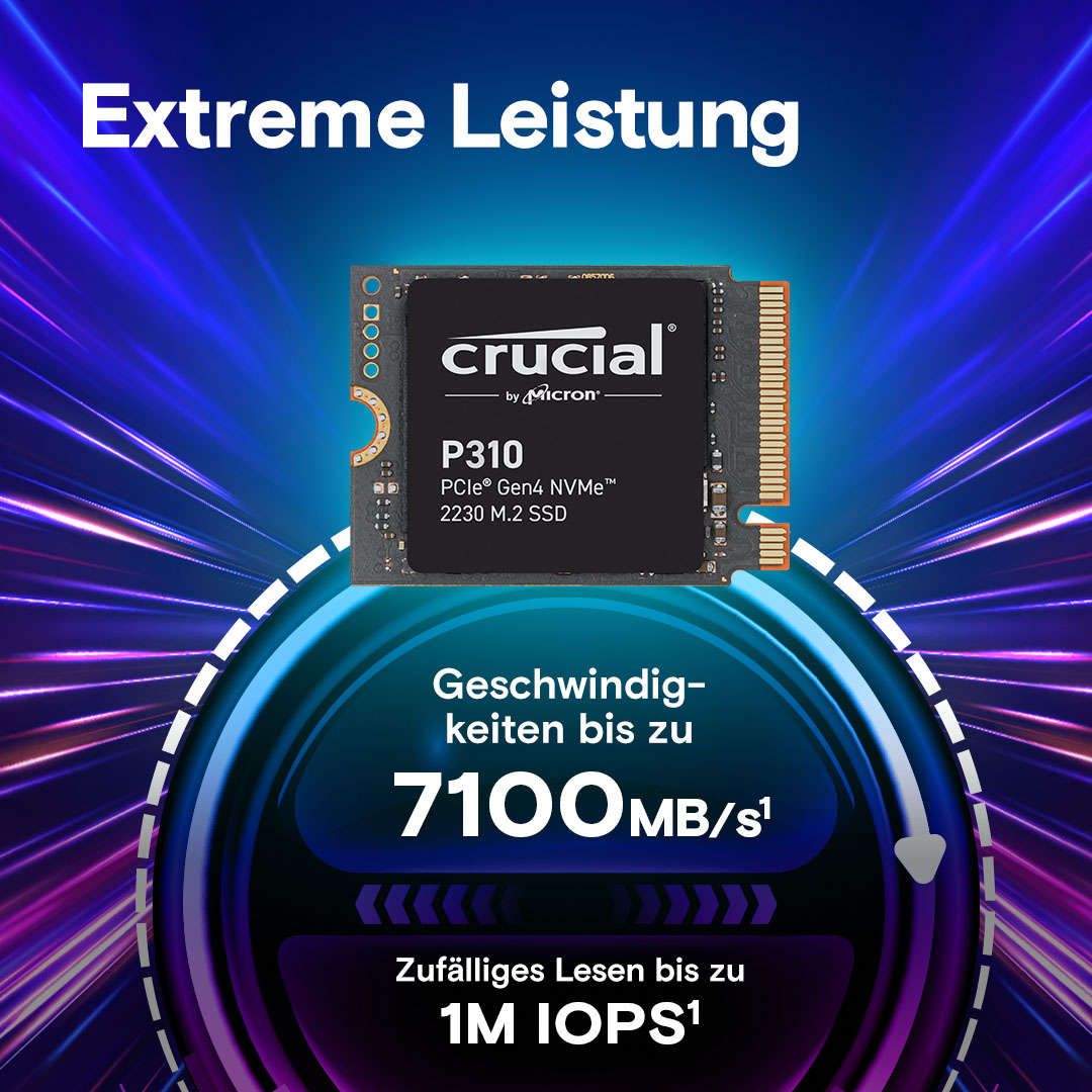 Crucial P310 1TB PCIe Gen4 NVMe 2230 M.2 SSD